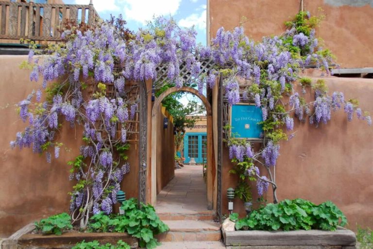 The Inn of The Five Graces is a luxury hotel and resort in downtown Santa Fe, New Mexico.